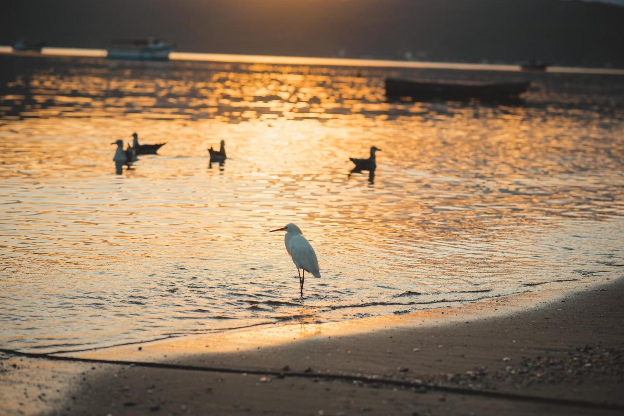 Pousada Canto Do Pescador Бомбиньяс Экстерьер фото